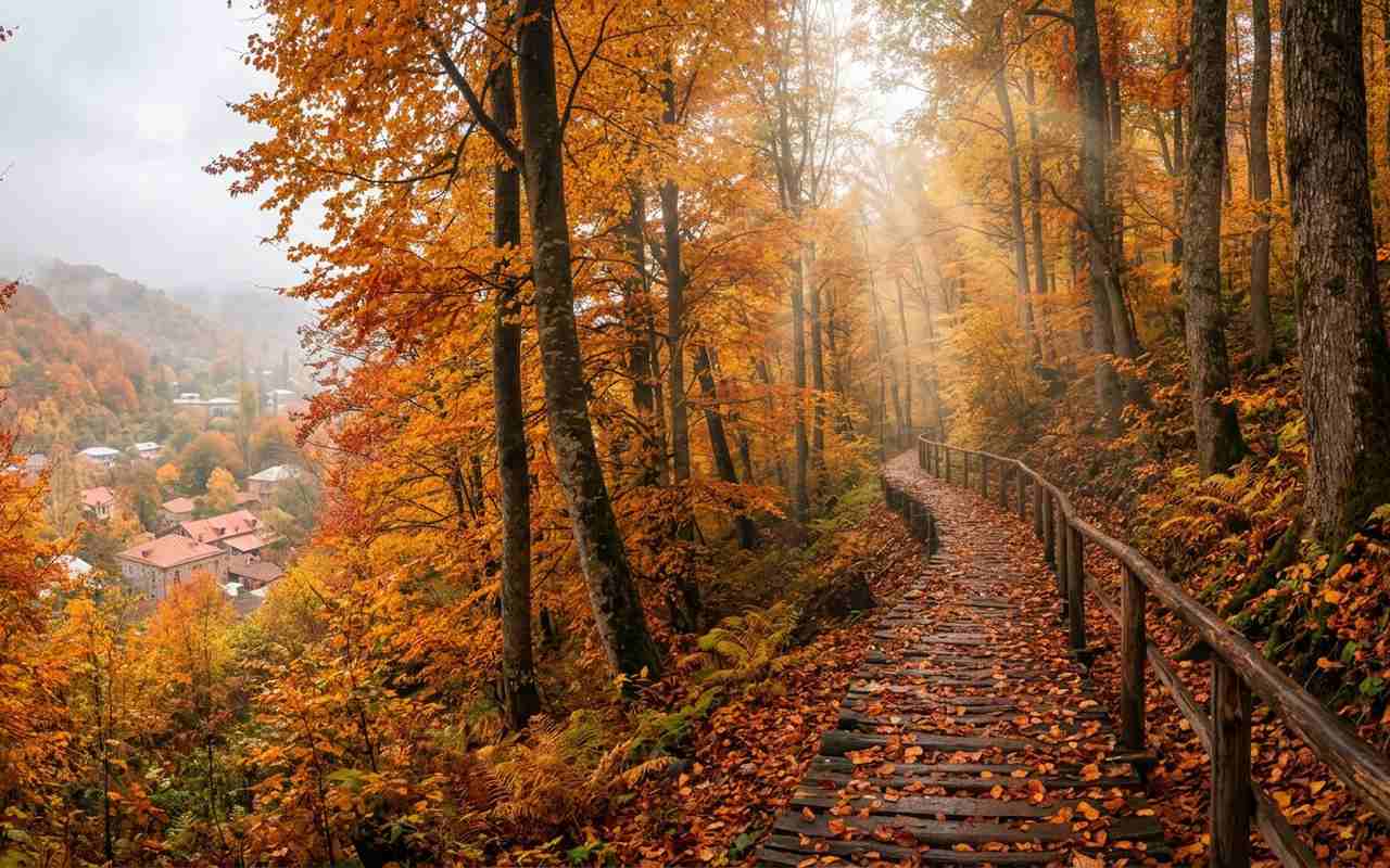 جنگل‌های رنگارنگ پاییزی دلیجان